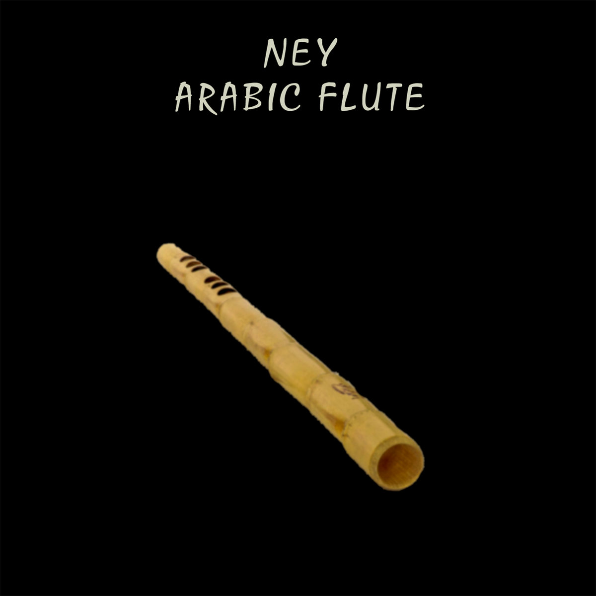 Ney_Arabic Flute_OneShot_ 5_G | Sample pack | Audiobotanica