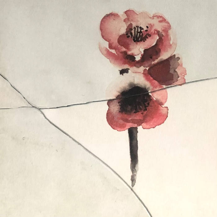 the unfolding rose | aloisius & friends | aloisius