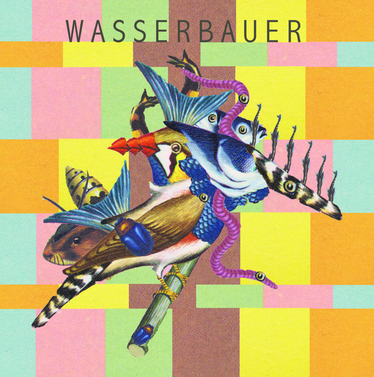 Wasserbauer