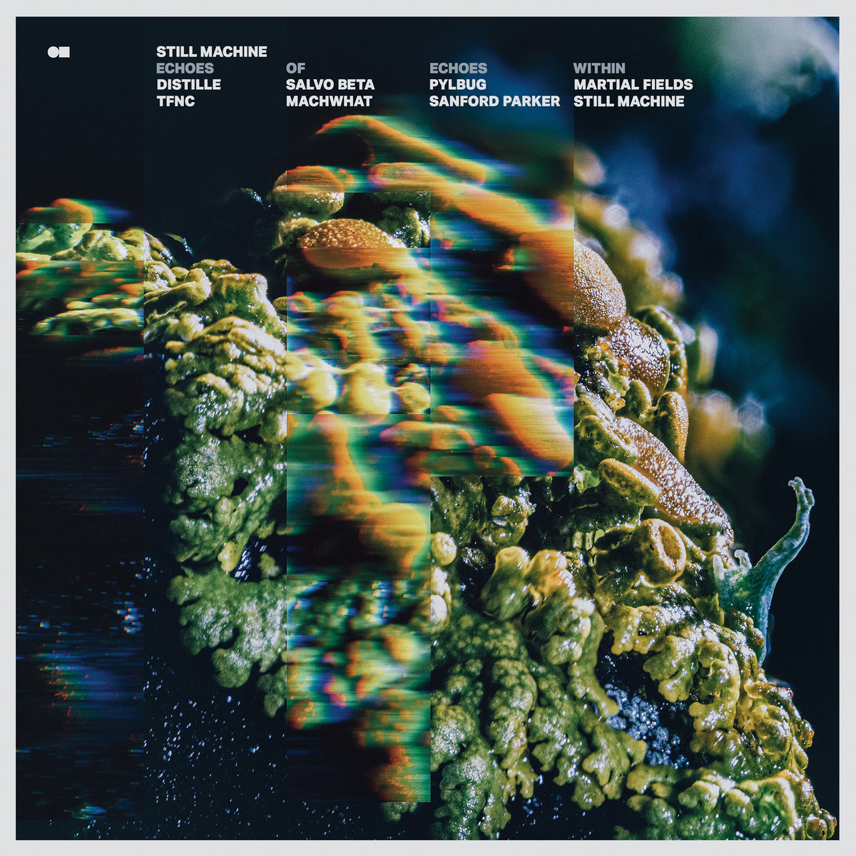 Echoes of Echoes Within | Still Machine