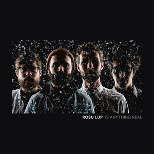 Is Anything Real cover