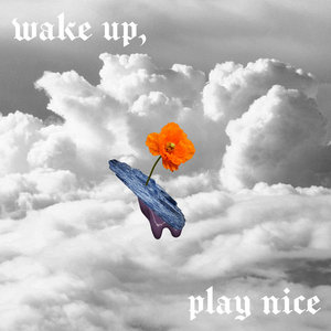 Wake Up, Play Nice cover