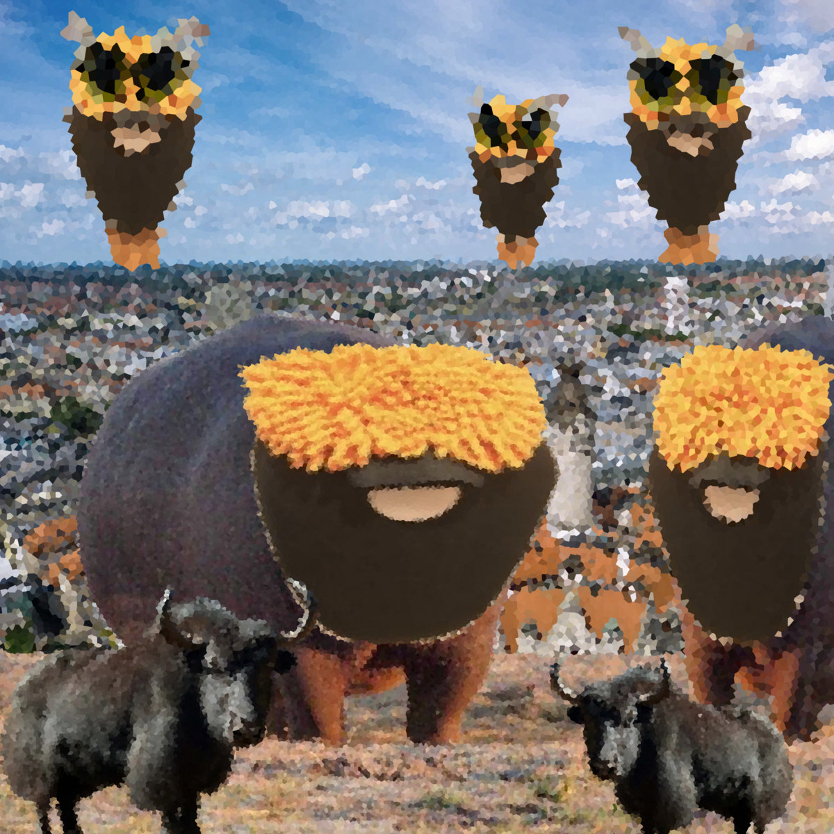 Dj Buffalo Presents: Dj Buffalo In: Dj Buffalos Adventures Through the ...