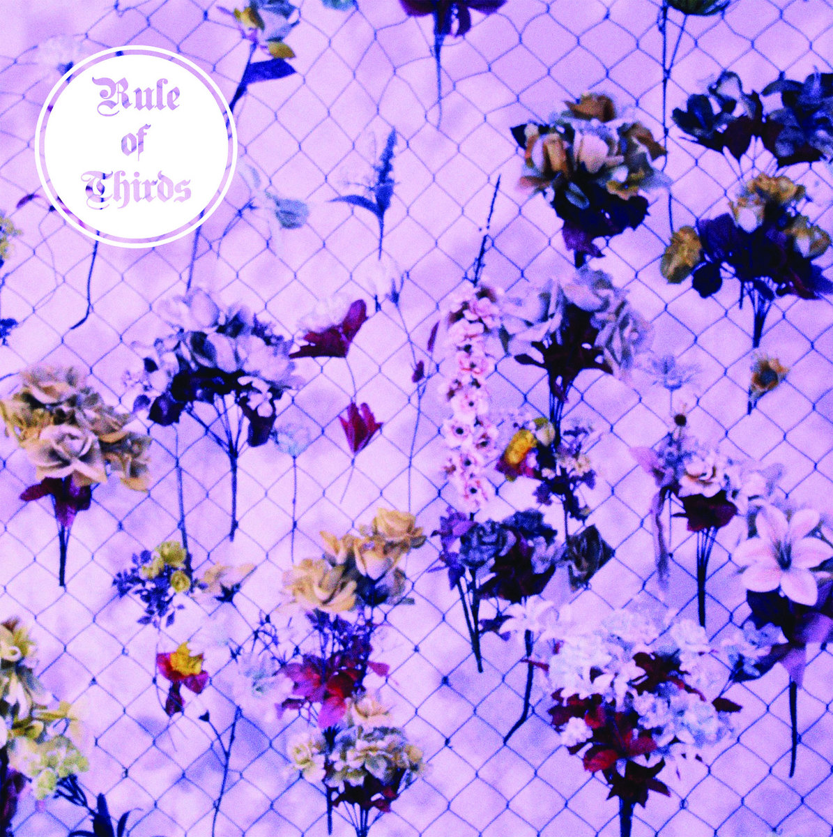 洋楽 Planet Asia - Rules Of Third LP Evidence Planet Asia – Rule Of Thirds – Vinyl (White, LP, Album
