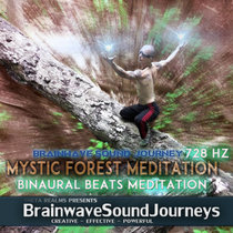 ACCESS ALTERED STATES: Mystic Forest Shamanic Drumming - V1 Journey cover art