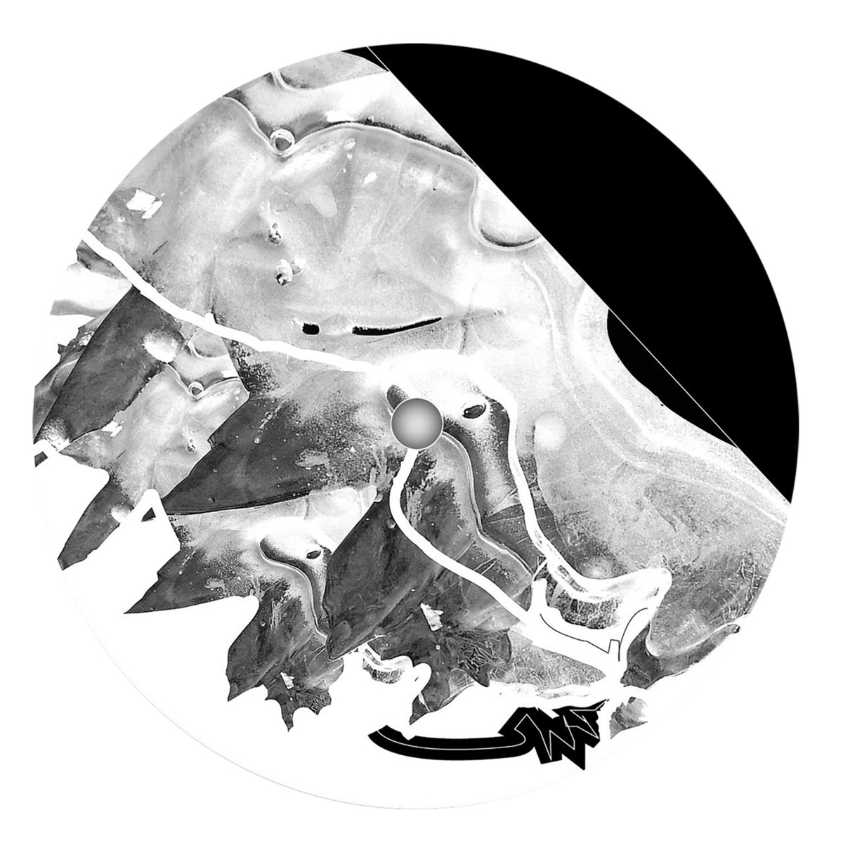 13 Years / POM16 | Various Artists | pomelo