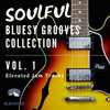 Soulful Bluesy Grooves Collection, Vol. 1