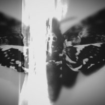 Deathshead cover art