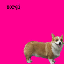 Corgi cover art