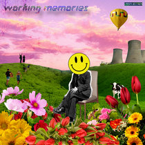 Working Memories cover art