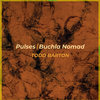 pulses/buchla nomad Cover Art