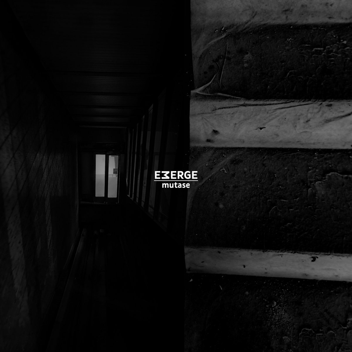 EMERGE – mutase