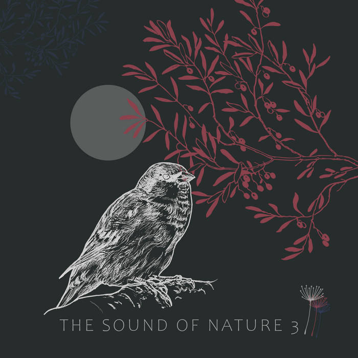 The Sound of Nature 2 | Various Artists | Cold Tear Records