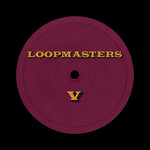 Loopmasters V - The Chronicles