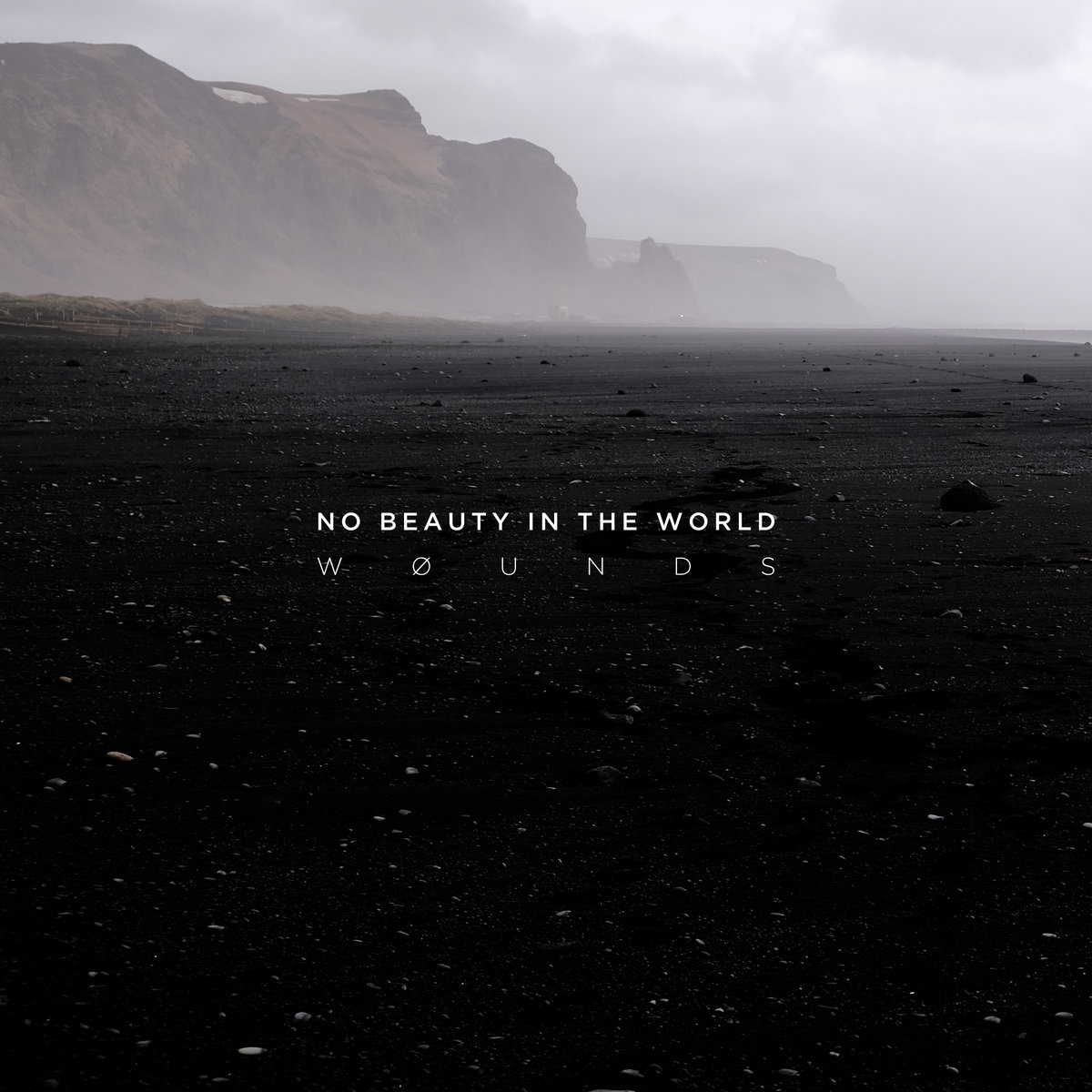 No Beauty In The World | wøunds | Past Inside the Present