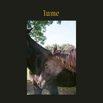 LUME - Blinding Love