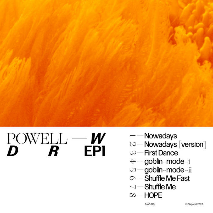 n*o様 POWELL パウエル　ZONE stedman 当時　オールドスケー W D R EP1 [DIAG073] | Powell