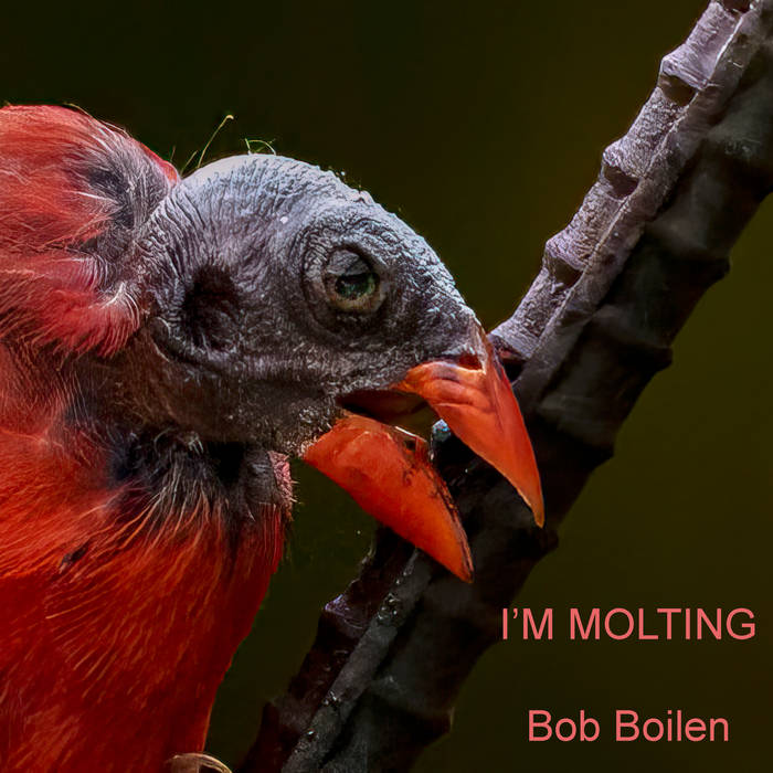 I&#39;m Molting, by Bob Boilen