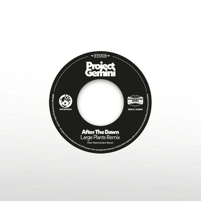 After The Dawn (Large Plants Remix) / Darkness Rising | Project Gemini