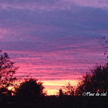 Music Fleur De Ciel music fleur de ciel