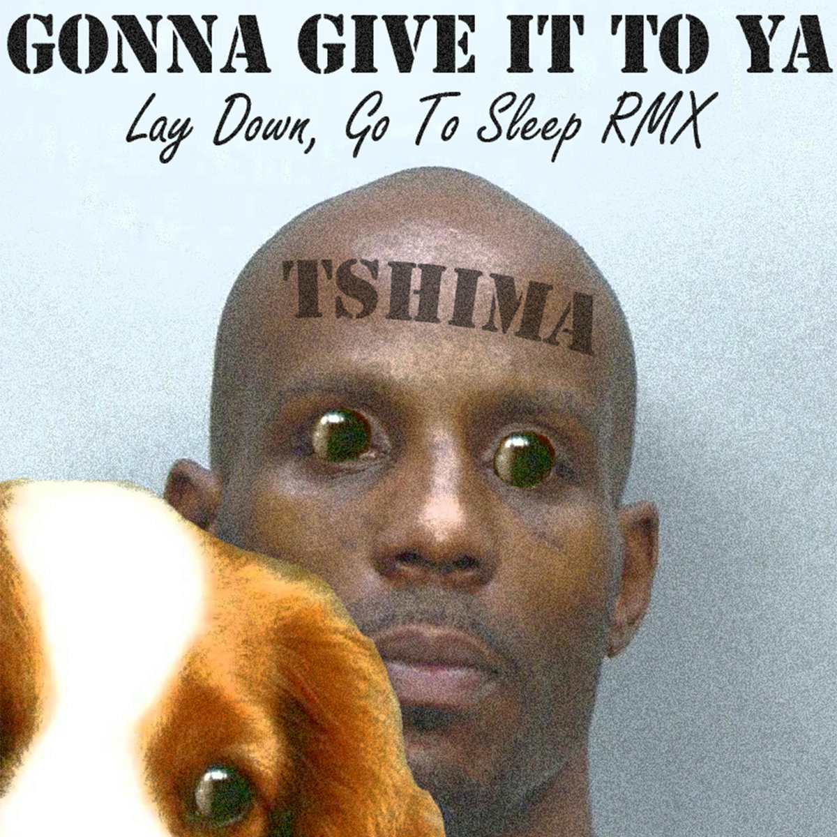 Dmx give me a sign. Dmx year of the dog again. dmx x gon give it to ya album.