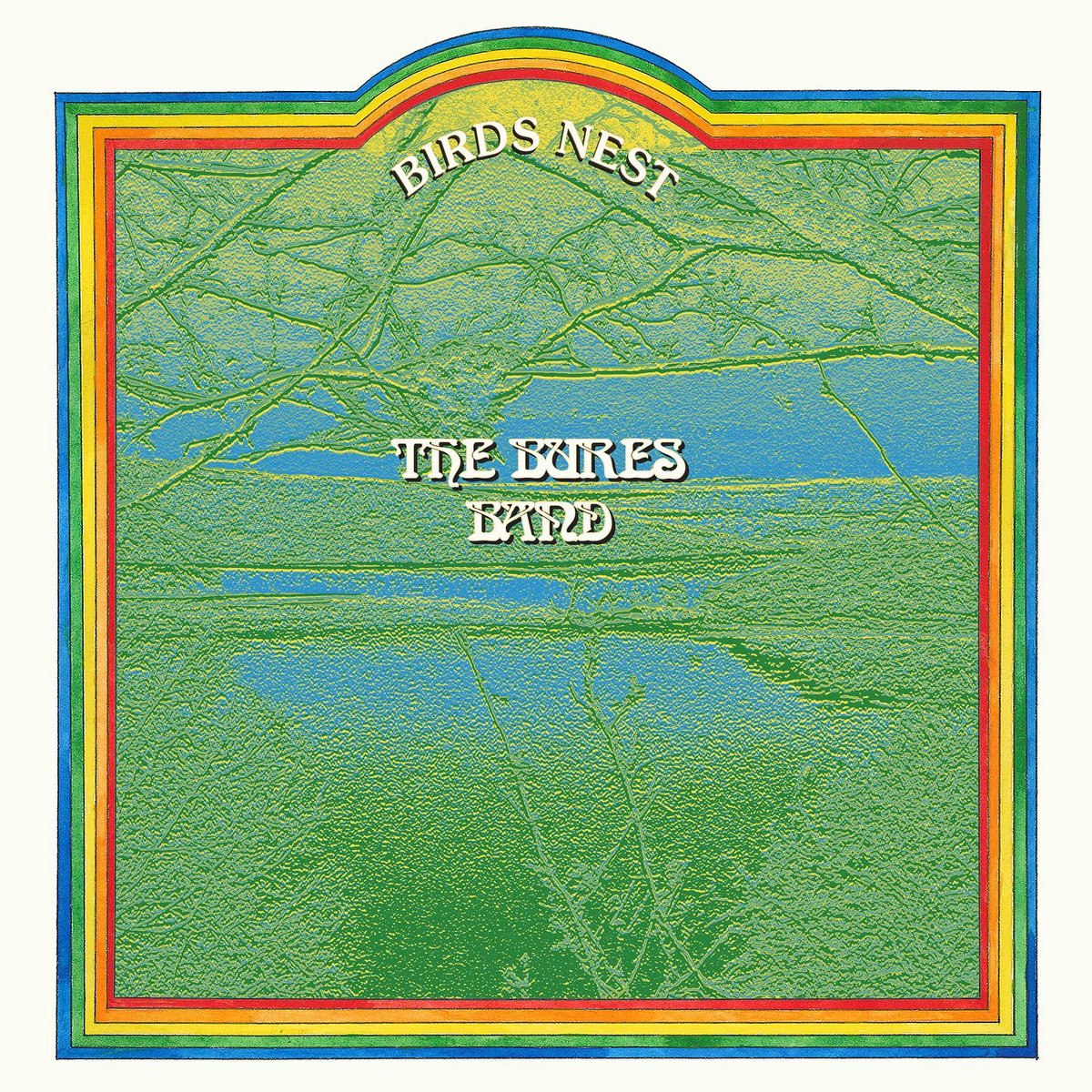 Bird s Nest The Bures Band We Here And Now bird-s-nest-the-bures-band-we-here-and-now