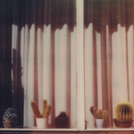 Home Normal 2025 Sampler Mix