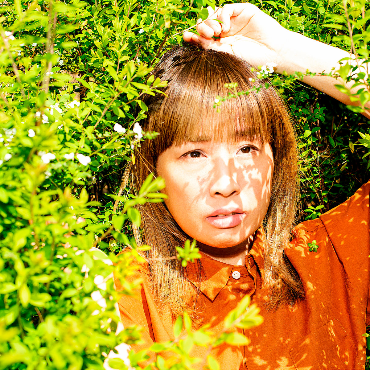 You / Uta Wo Utaeba by MASS OF THE FERMENTING DREGS