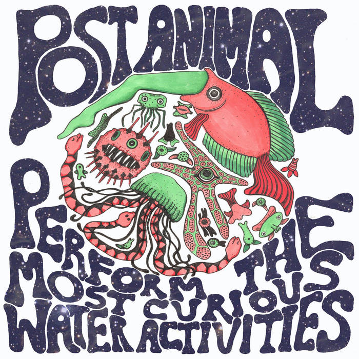 Post Animal Perform the Most Curious Water Activities cover art