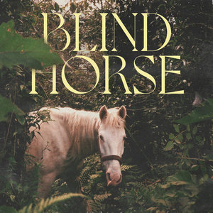 Mia Kelly — Blind Horse