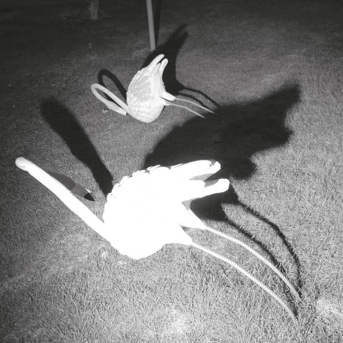 A Mimesis Of Nothingness 