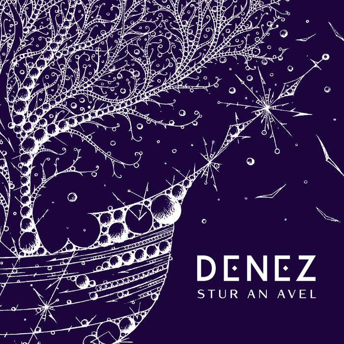 Stur an avel | Denez | Coop Breizh Musik