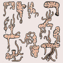 Mechanically Separated cover art