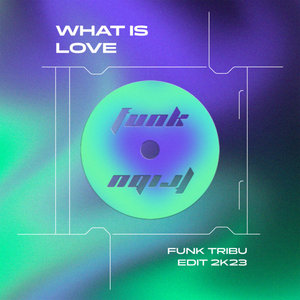 What Is Love (Funk Tribu Edit 2K23)Haddaway cover