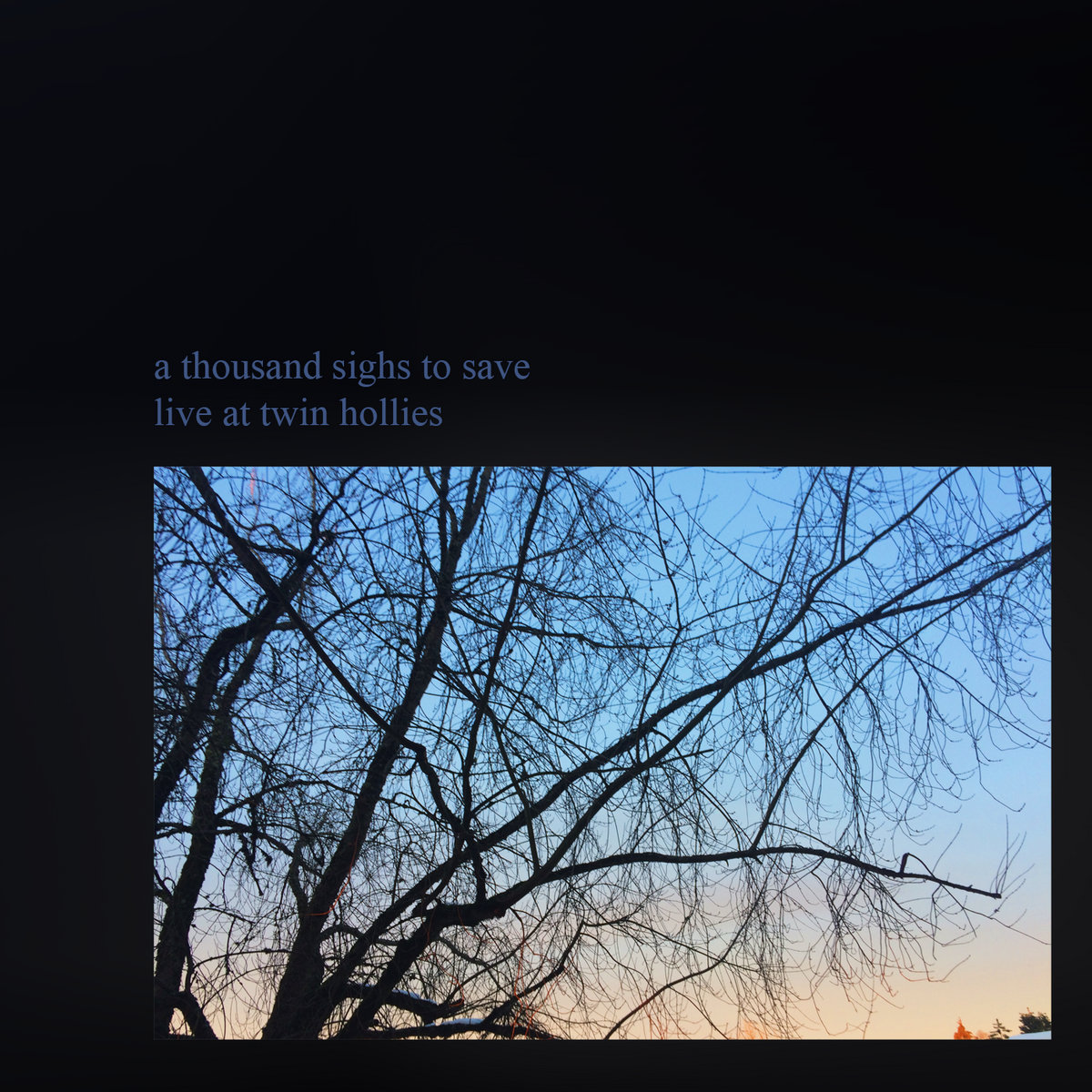 some sinatra (secret stars) | a thousand sighs to save