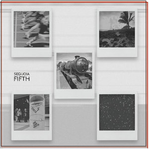 FIFTH cover