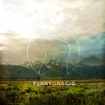 Bunny On Acid