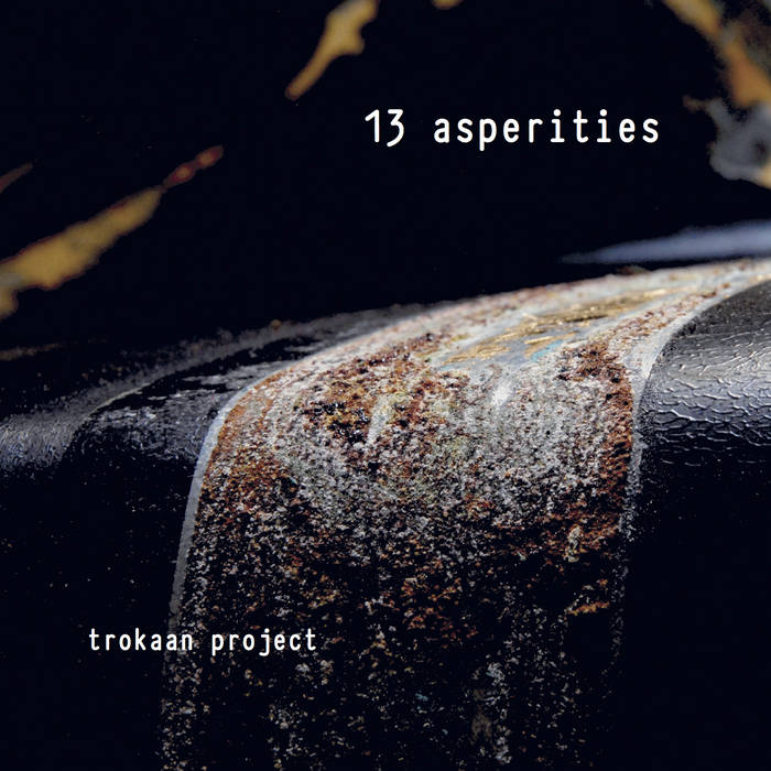 13 Asperities
by Trokaan Project : Allbee, Barrett, Gratkowski, Guenther, Hemingway, de Joode, Kaufmann, Uchihashi