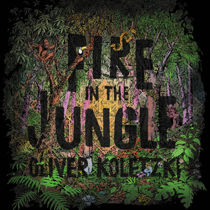 Fire In The Jungle | Oliver Koletzki