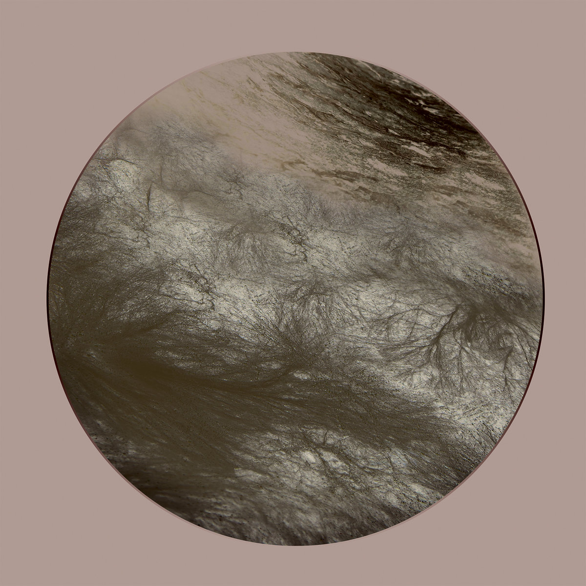 Flesh Of The Gods Remixes | Ness | Navigare Audio