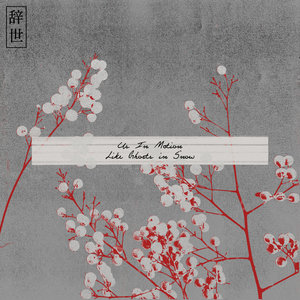 Like Ghosts in Snow cover
