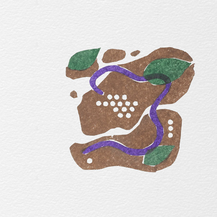 Little Insects Bug Teeth