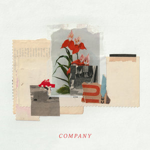 Company cover