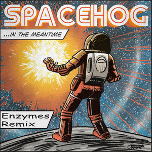 Spacehog_In The Meantime (ENZYMES RMX) cover