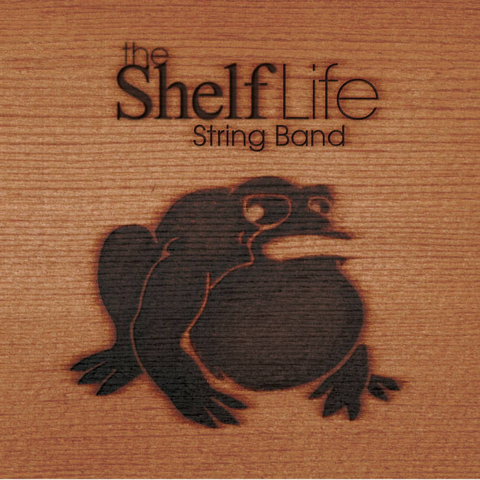 Music Shelf Life String Band