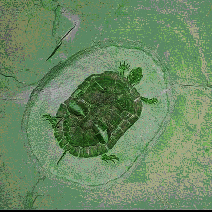 Echmatemys Paleobiota