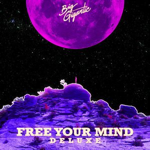 Free Your Mind (Deluxe Version) cover
