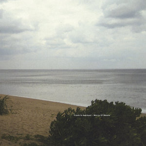 Mercy Of MeansFrank & Aakmael cover