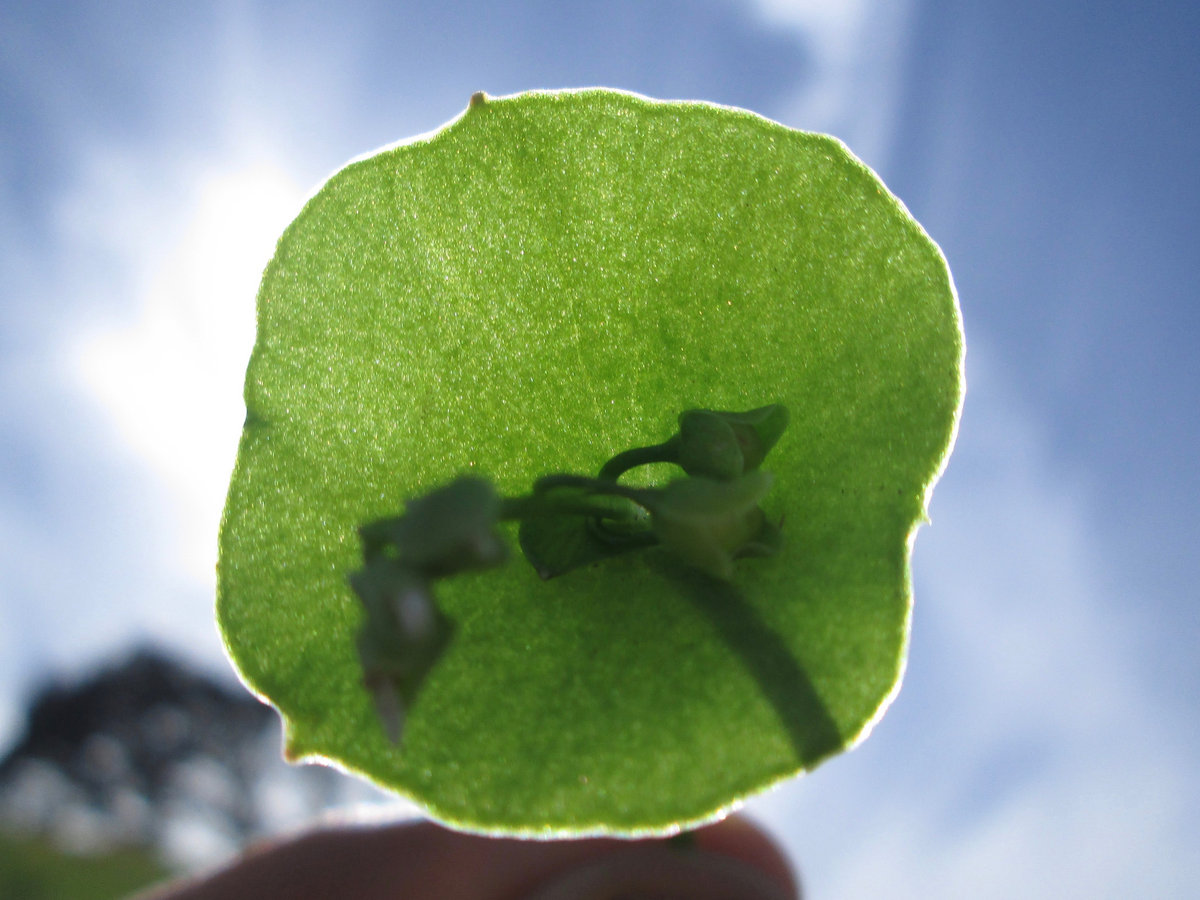 Sound is Invisible Color | Colla Parte