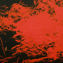Anthony Naples — In Studio Magic